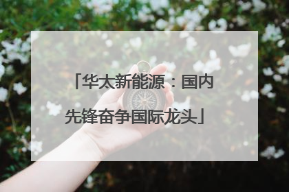 华太新能源：国内先锋奋争国际龙头