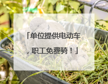 单位提供电动车，职工免费骑！