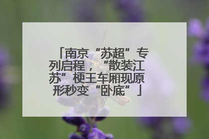 南京“苏超”专列启程，“散装江苏”梗王车厢现原形秒变“卧底”