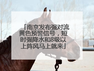 南京发布强对流黄色预警信号，短时强降水和8级以上阵风马上就来