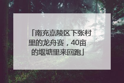 南充嘉陵区下张村里的龙舟赛，40亩的堰塘里来回跑