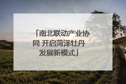 南北联动产业协同 开启菏泽牡丹发展新模式