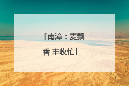 南漳：麦飘香 丰收忙