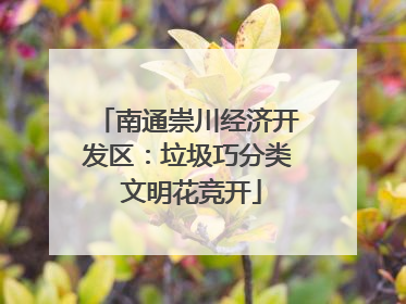 南通崇川经济开发区：垃圾巧分类 文明花竞开