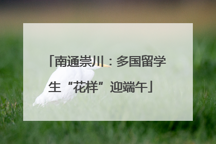 南通崇川：多国留学生“花样”迎端午