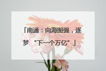 南通：向海图强，逐梦 “下一个万亿”