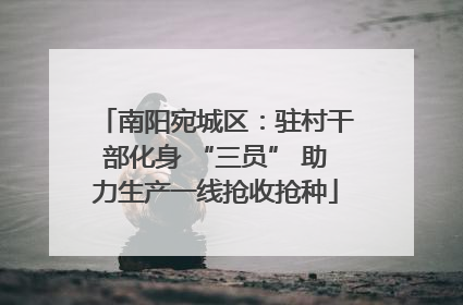 南阳宛城区：驻村干部化身 “三员” 助力生产一线抢收抢种