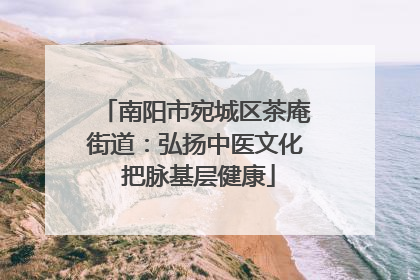 南阳市宛城区茶庵街道：弘扬中医文化 把脉基层健康