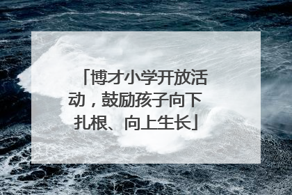 博才小学开放活动，鼓励孩子向下扎根、向上生长