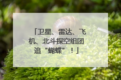 卫星、雷达、飞机、北斗探空组团追“蝴蝶”！