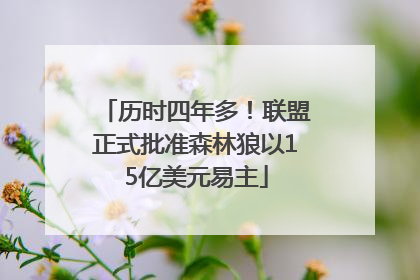 历时四年多！联盟正式批准森林狼以15亿美元易主