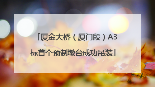 厦金大桥（厦门段）A3标首个预制墩台成功吊装