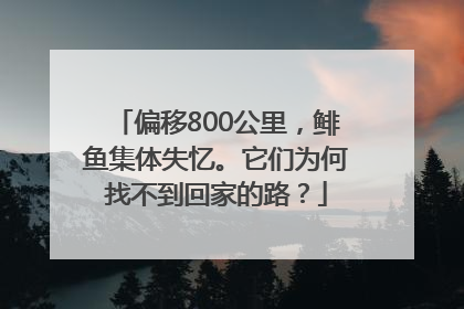 偏移800公里，鲱鱼集体失忆。它们为何找不到回家的路？