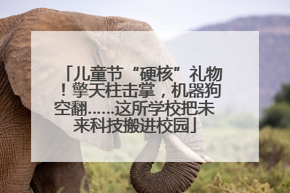 儿童节“硬核”礼物！擎天柱击掌，机器狗空翻……这所学校把未来科技搬进校园