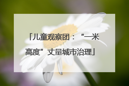 儿童观察团：“一米高度”丈量城市治理