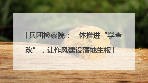兵团检察院：一体推进“学查改”，让作风建设落地生根
