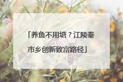 养鱼不用塘？江陵秦市乡创新致富路径