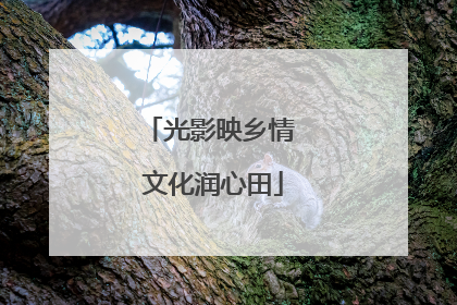 光影映乡情 文化润心田