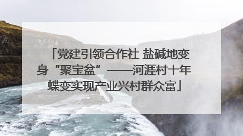 党建引领合作社 盐碱地变身“聚宝盆”——河涯村十年蝶变实现产业兴村群众富