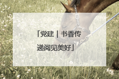 党建｜书香传递阅见美好