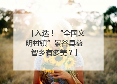 入选！“全国文明村镇”景谷县益智乡有多美？