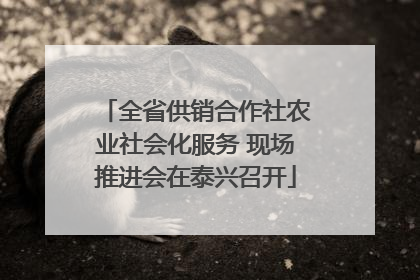 全省供销合作社农业社会化服务 现场推进会在泰兴召开