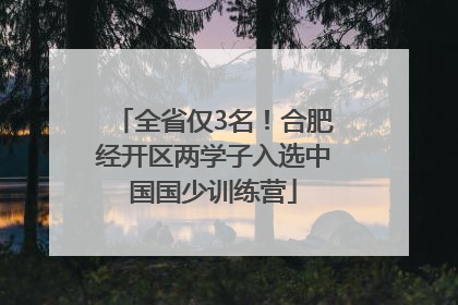 全省仅3名！合肥经开区两学子入选中国国少训练营
