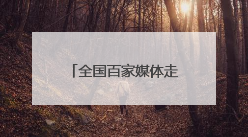 全国百家媒体走进庆阳｜“剪云裳”惊艳香包节：剪纸跃上华服 非遗焕发新彩