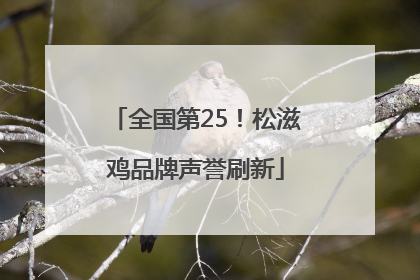 全国第25！松滋鸡品牌声誉刷新