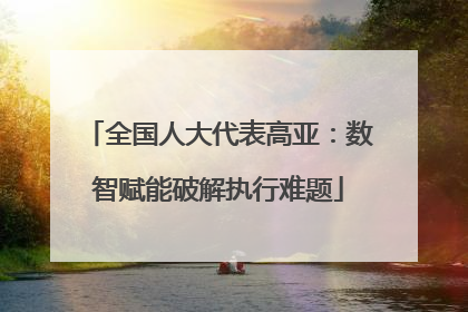 全国人大代表高亚：数智赋能破解执行难题