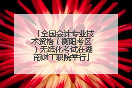 全国会计专业技术资格（衡阳考区）无纸化考试在湖南财工职院举行