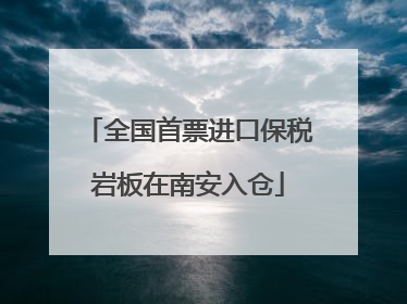全国首票进口保税岩板在南安入仓