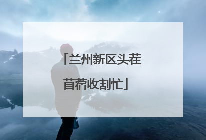 兰州新区头茬苜蓿收割忙