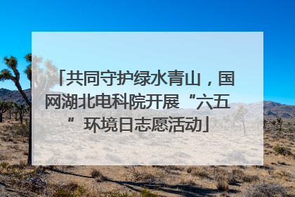 共同守护绿水青山，国网湖北电科院开展“六五”环境日志愿活动