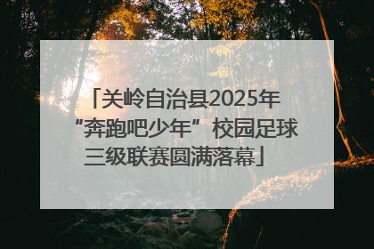 关岭自治县2025年“奔跑吧少年”校园足球三级联赛圆满落幕