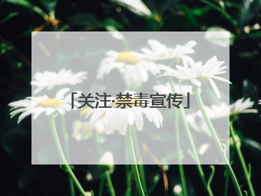 关注·禁毒宣传