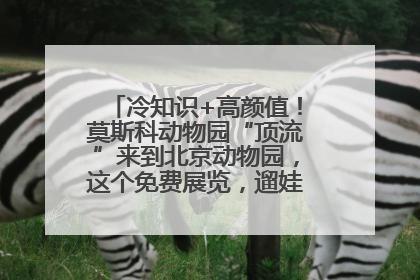 冷知识+高颜值！莫斯科动物园“顶流”来到北京动物园，这个免费展览，遛娃拍照两不误！