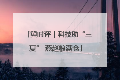 冀时评｜科技助“三夏” 燕赵粮满仓