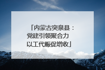 内蒙古突泉县：党建引领聚合力 以工代赈促增收