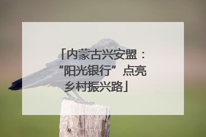 内蒙古兴安盟：“阳光银行”点亮乡村振兴路