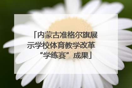 内蒙古准格尔旗展示学校体育教学改革“学练赛”成果