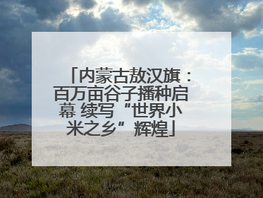 内蒙古敖汉旗：百万亩谷子播种启幕 续写“世界小米之乡”辉煌