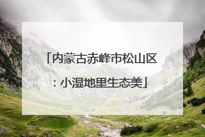 内蒙古赤峰市松山区：小湿地里生态美
