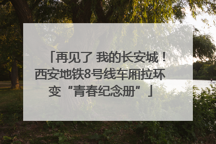 再见了 我的长安城！西安地铁8号线车厢拉环变“青春纪念册”
