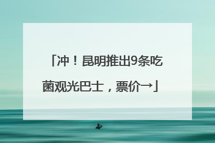 冲！昆明推出9条吃菌观光巴士，票价→