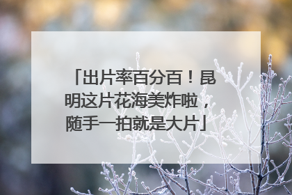 出片率百分百！昆明这片花海美炸啦，随手一拍就是大片