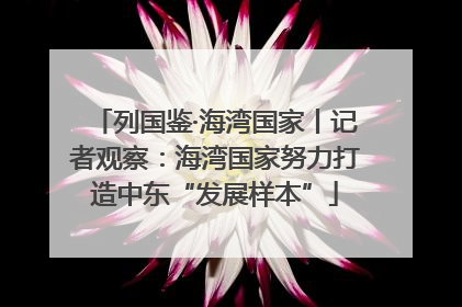 列国鉴·海湾国家丨记者观察：海湾国家努力打造中东“发展样本”
