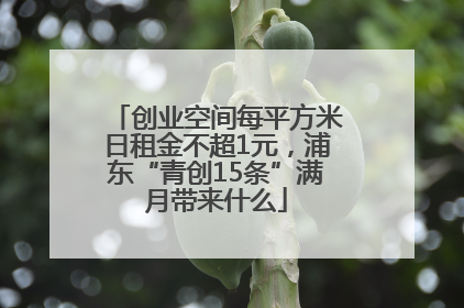 创业空间每平方米日租金不超1元，浦东“青创15条”满月带来什么