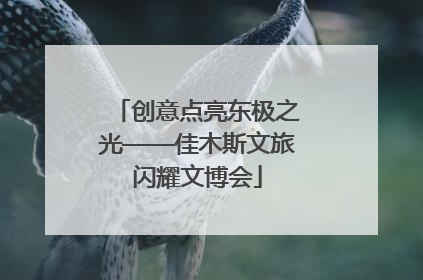 创意点亮东极之光——佳木斯文旅闪耀文博会