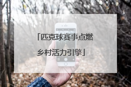 匹克球赛事点燃乡村活力引擎